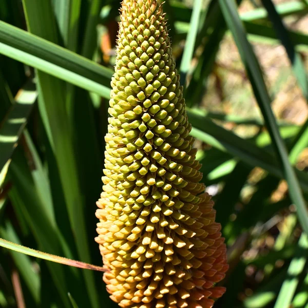 澳门博彩棋牌游戏